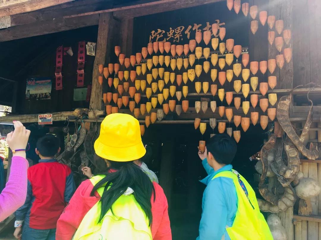 西雙版納研學夏令營