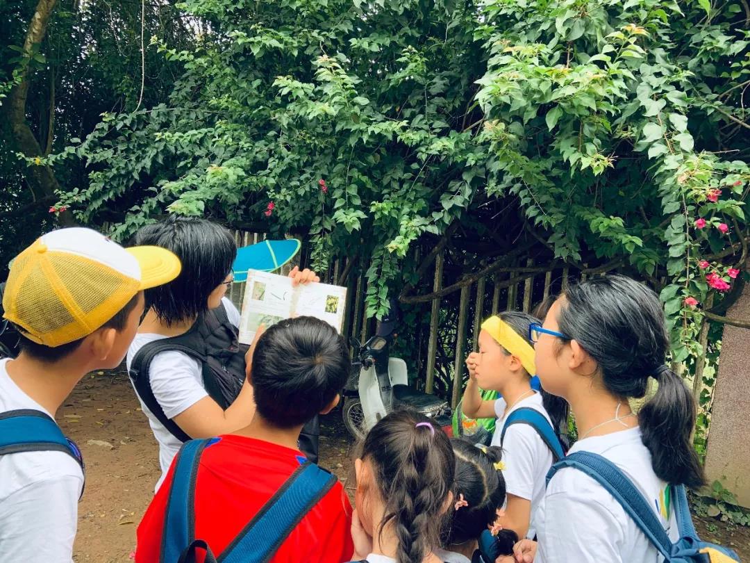 西雙版納研學夏令營